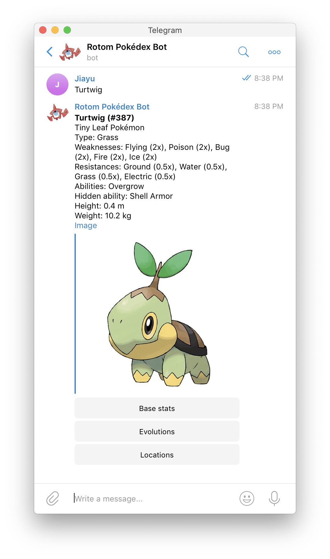 Turtwig, the Tiny Leaf Pokémon